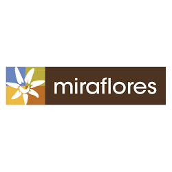 Inicio centro comercial miraflores