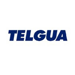 Inicio telgua